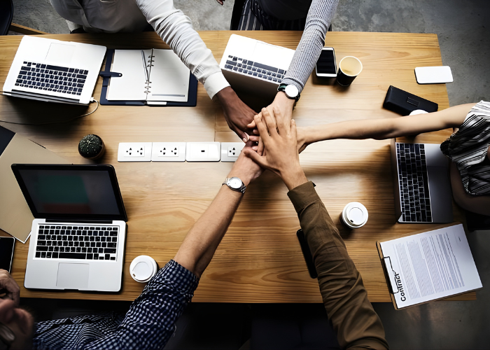 "Ready-made furniture showroom Pakistan Interwood Habitt brands"