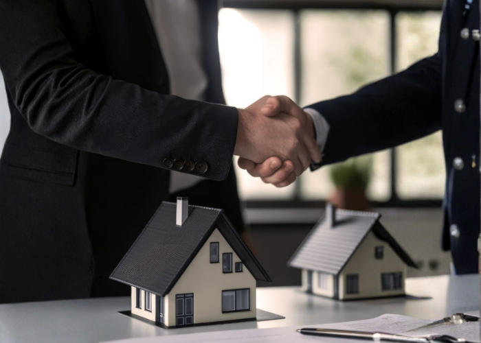 "Ready-made furniture showroom Pakistan Interwood Habitt brands"