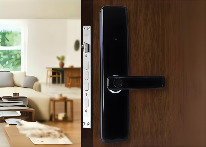 Smart door lock Pakistan fingerprint PIN smartphone control